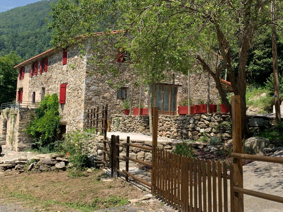 Ferienwohnung Mas Graffouil Prats-de-Mollo-la-Preste Exterior foto