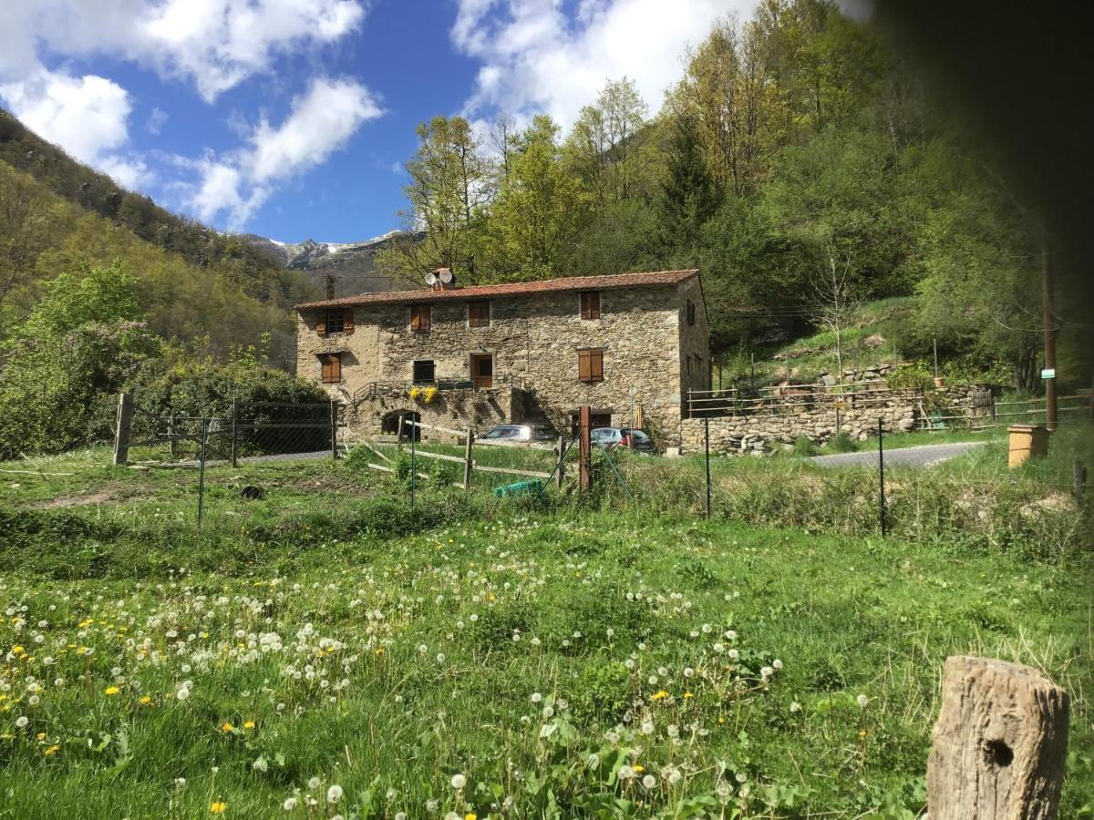 Ferienwohnung Mas Graffouil Prats-de-Mollo-la-Preste Exterior foto
